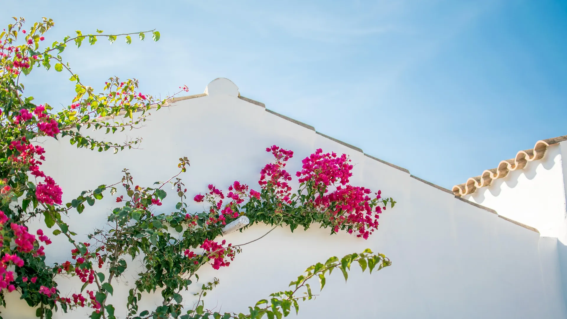 Torralbenc, A Small Luxury Hotel Of The World Cala En Porter  5*, Cala En Porter (Menorca) Spagna