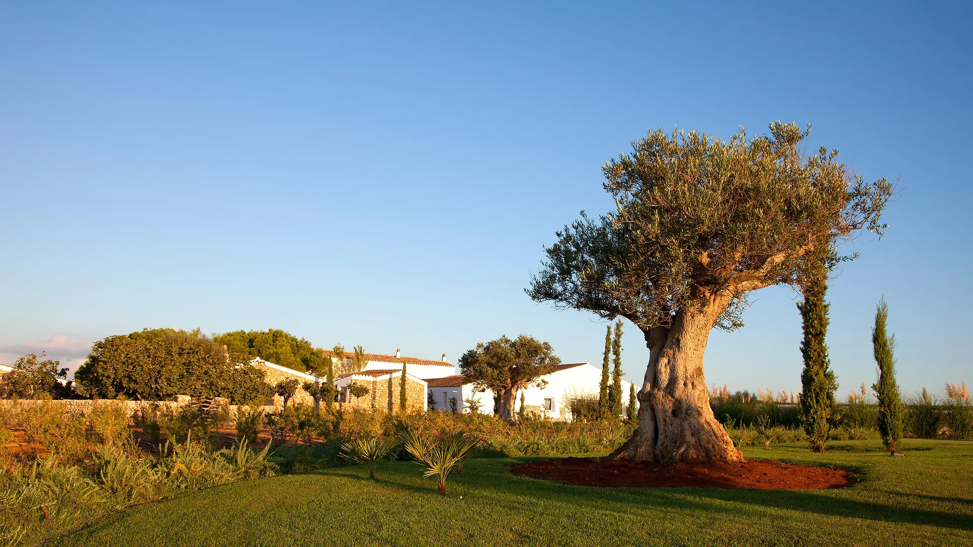 Torralbenc, A Small Luxury Hotel Of The World Cala En Porter   Cala En Porter (Menorca)